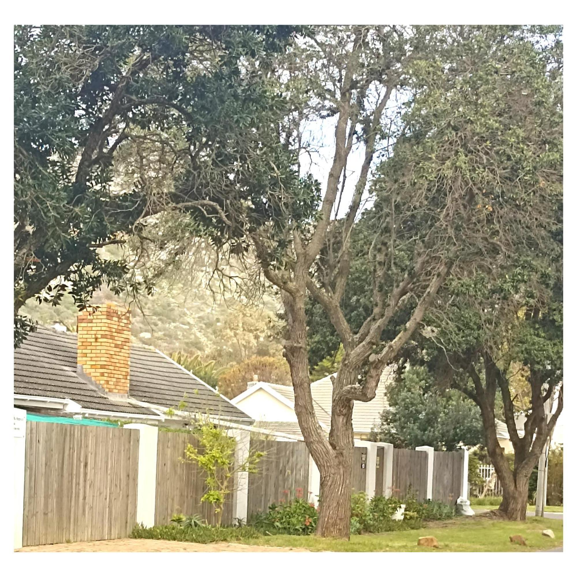 The Retreat Bed & Breakfast Kommetjie Exterior photo